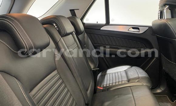 Tenga Tsaru Mercedes‒Benz GLE Sirivha Mota in Lusaka in Zambia Tenga Tsaru Mercedes‒Benz GLE Sirivha Mota in Lusaka in Zambia