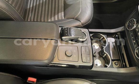 Tenga Tsaru Mercedes‒Benz GLE Sirivha Mota in Lusaka in Zambia Tenga Tsaru Mercedes‒Benz GLE Sirivha Mota in Lusaka in Zambia