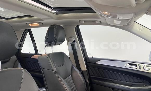 Tenga Tsaru Mercedes‒Benz GLE Sirivha Mota in Lusaka in Zambia Tenga Tsaru Mercedes‒Benz GLE Sirivha Mota in Lusaka in Zambia