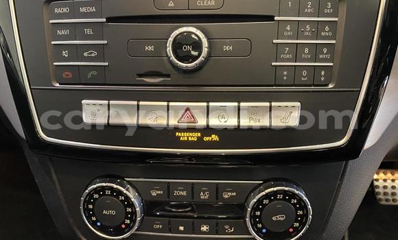 Tenga Tsaru Mercedes‒Benz GLE Sirivha Mota in Lusaka in Zambia Tenga Tsaru Mercedes‒Benz GLE Sirivha Mota in Lusaka in Zambia