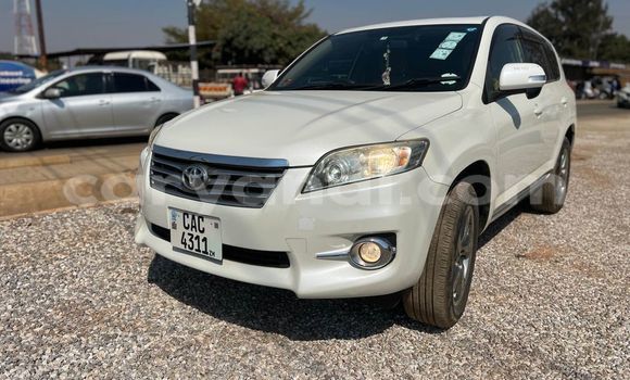Buy Used Toyota Vanguard White Car in Lusaka in Zambia