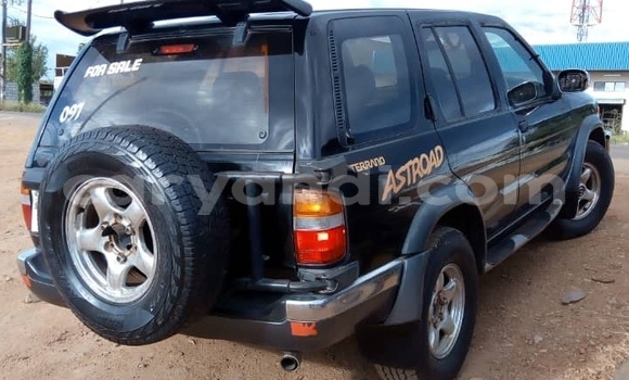 Buy Used Nissan Terrano Green Car in Lusaka in Zambia Buy Used Nissan Terrano Green Car in Lusaka in Zambia