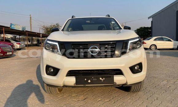Buy Used Nissan Navara White Car in Chingola in Zambia