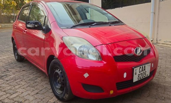Acheter Occasion Voiture Toyota Vitz Rouge à Chinsali, Nord Acheter Occasion Voiture Toyota Vitz Rouge à Chinsali, Nord