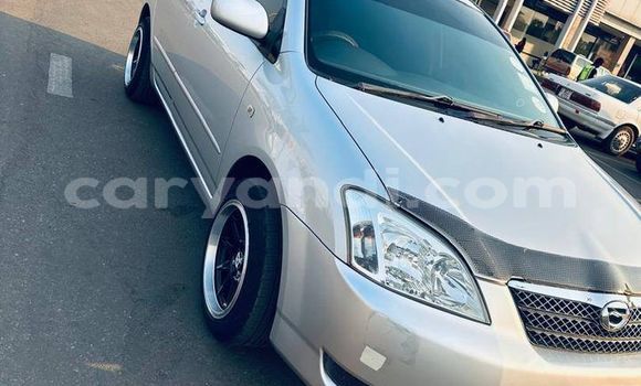 Buy Used Toyota Runx Other Car in Chinsali in Northern