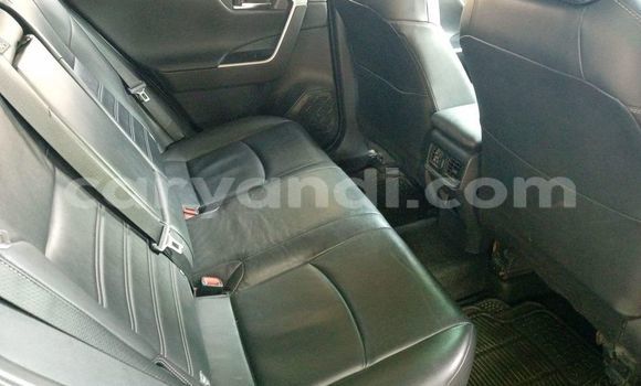 Buy Used Toyota RAV4 White Car in Chilanga in Lusaka Buy Used Toyota RAV4 White Car in Chilanga in Lusaka