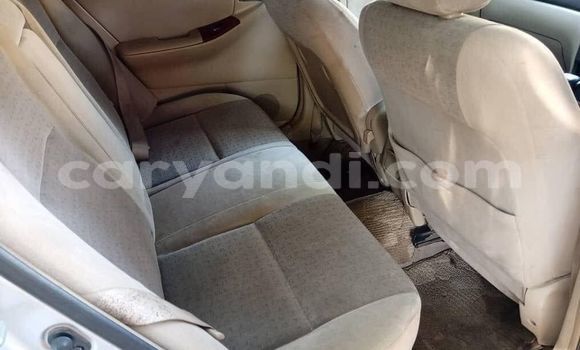 Buy Used Toyota Allex Other Car in Chingola in Zambia Buy Used Toyota Allex Other Car in Chingola in Zambia