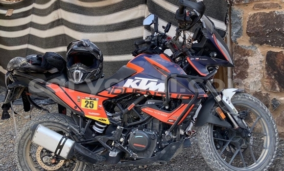Buy Used KTM Duke Beige Bike in Lusaka in Zambia