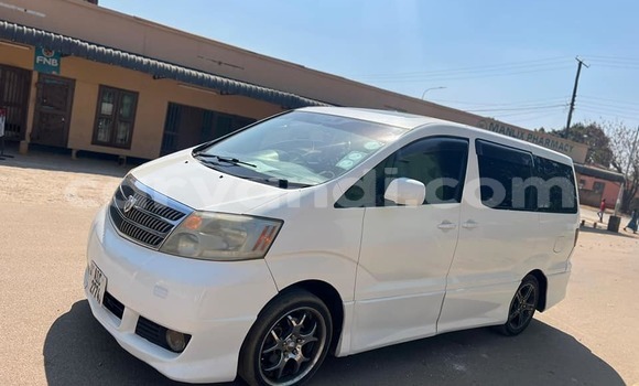 Nunua Ilio tumika Toyota Alphard Nyeupe Gari ndani ya Chipata nchini Zambia Nunua Ilio tumika Toyota Alphard Nyeupe Gari ndani ya Chipata nchini Zambia