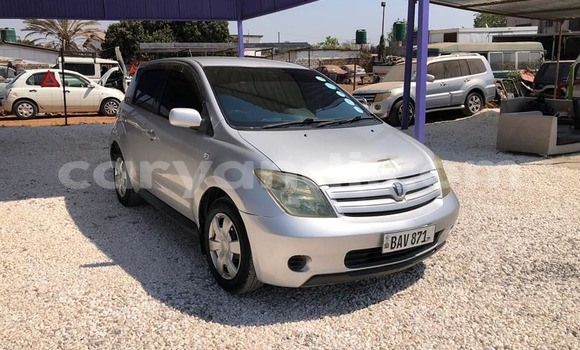 Nunua Ilio tumika Toyota IST Nyingine Gari ndani ya Chinsali nchini Kaskazini Nunua Ilio tumika Toyota IST Nyingine Gari ndani ya Chinsali nchini Kaskazini