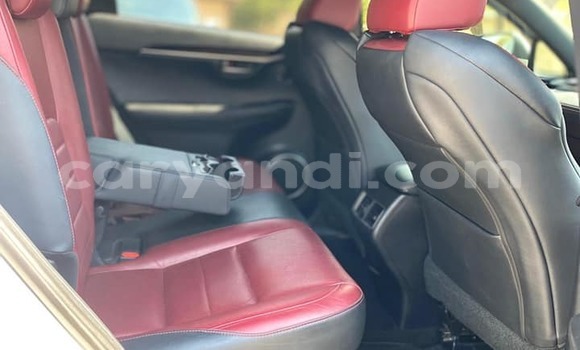 Nunua Ilio tumika Lexus NX Nyeupe Gari ndani ya Chinsali nchini Kaskazini Nunua Ilio tumika Lexus NX Nyeupe Gari ndani ya Chinsali nchini Kaskazini