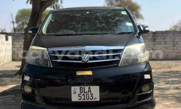 Tenga Tsaru Toyota Alphard Nhema Mota in Chililabombwe in Copperbelt