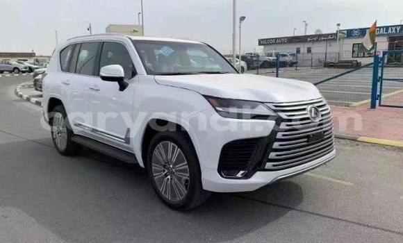 Tenga Tsaru Lexus LS Chena Mota in Lusaka in Zambia Tenga Tsaru Lexus LS Chena Mota in Lusaka in Zambia