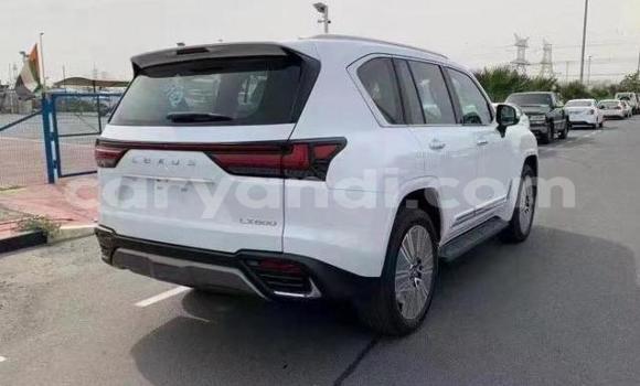 Tenga Tsaru Lexus LS Chena Mota in Lusaka in Zambia Tenga Tsaru Lexus LS Chena Mota in Lusaka in Zambia