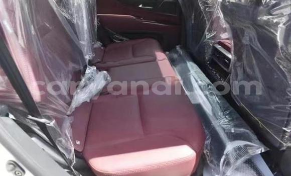 Tenga Tsaru Lexus LS Chena Mota in Lusaka in Zambia Tenga Tsaru Lexus LS Chena Mota in Lusaka in Zambia