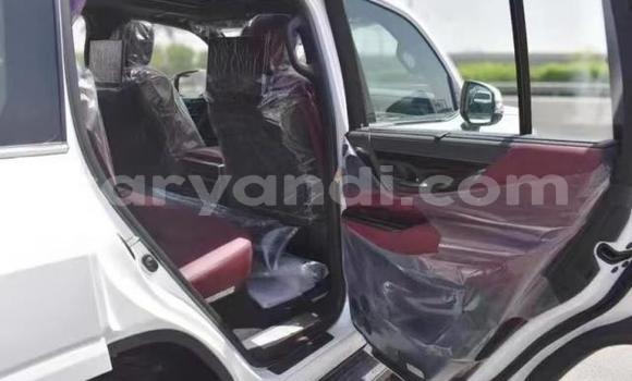 Tenga Tsaru Lexus LS Chena Mota in Lusaka in Zambia Tenga Tsaru Lexus LS Chena Mota in Lusaka in Zambia