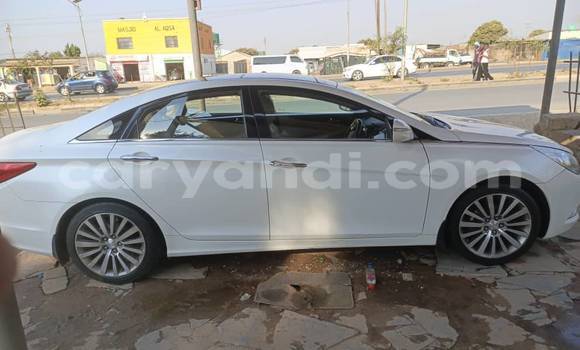 Acheter Occasion Voiture Hyundai ix55 Blanc à Chinsali, Nord Acheter Occasion Voiture Hyundai ix55 Blanc à Chinsali, Nord