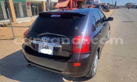 Acheter Occasion Voiture Toyota Allex Noir à Chinsali, Nord Acheter Occasion Voiture Toyota Allex Noir à Chinsali, Nord