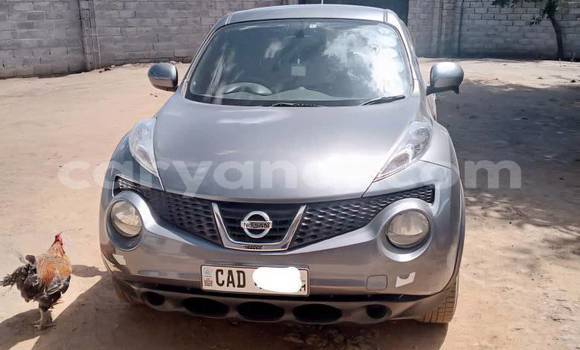 Tenga Tsaru Nissan Juke Zvimwe Mota in Choma in Southern