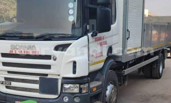 Buy Used Scania Irizar White Truck in Chililabombwe in Copperbelt