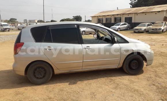 Acheter Occasion Voiture Toyota Spacio Autre à Chingola, Zambie Acheter Occasion Voiture Toyota Spacio Autre à Chingola, Zambie