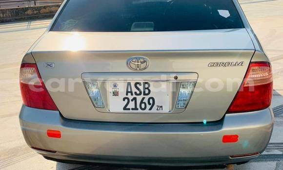 Acheter Occasion Voiture Toyota Corolla Autre à Chinsali, Nord Acheter Occasion Voiture Toyota Corolla Autre à Chinsali, Nord