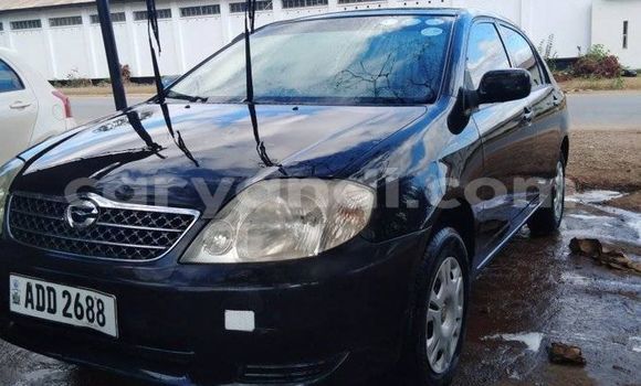 Acheter Occasion Voiture Toyota Corolla Noir à Chipata, Zambie Acheter Occasion Voiture Toyota Corolla Noir à Chipata, Zambie