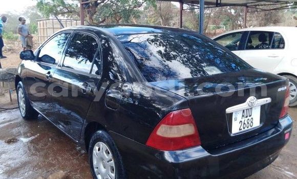 Acheter Occasion Voiture Toyota Corolla Noir à Chipata, Zambie Acheter Occasion Voiture Toyota Corolla Noir à Chipata, Zambie
