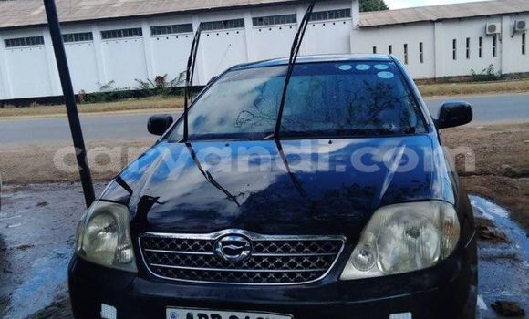 Acheter Occasion Voiture Toyota Corolla Noir à Chipata, Zambie Acheter Occasion Voiture Toyota Corolla Noir à Chipata, Zambie