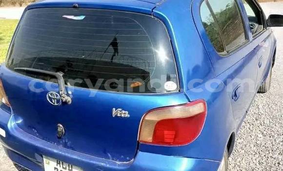 Acheter Occasion Voiture Toyota Vitz Bleu à Chinsali, Nord Acheter Occasion Voiture Toyota Vitz Bleu à Chinsali, Nord