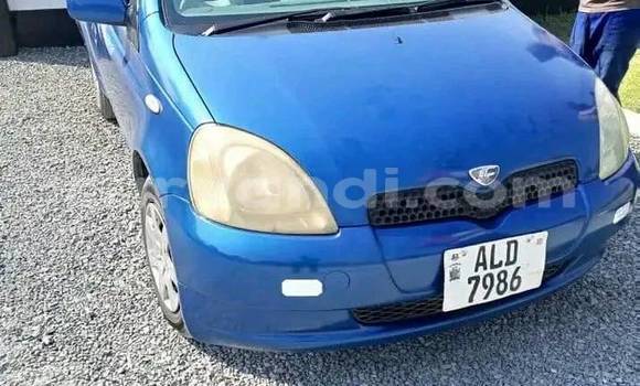 Acheter Occasion Voiture Toyota Vitz Bleu à Chinsali, Nord Acheter Occasion Voiture Toyota Vitz Bleu à Chinsali, Nord