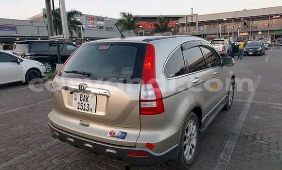 Buy Used Honda Accord Other Car in Lusaka in Zambia