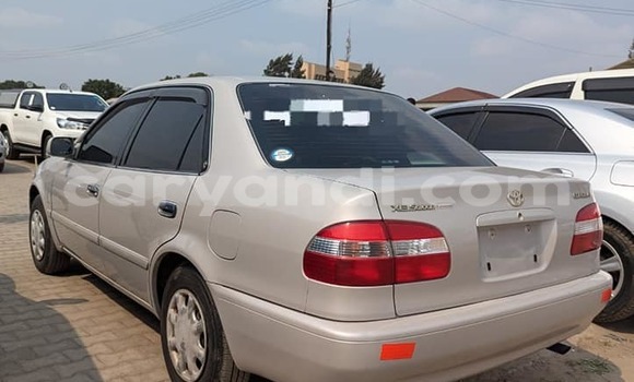 Acheter Occasion Voiture Toyota Corolla Blanc à Isoka, Nord Acheter Occasion Voiture Toyota Corolla Blanc à Isoka, Nord