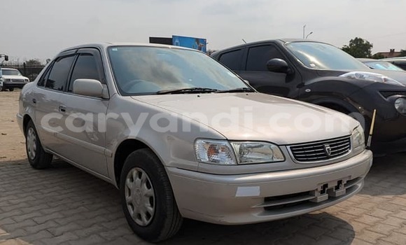 Acheter Occasion Voiture Toyota Corolla Blanc à Isoka, Nord Acheter Occasion Voiture Toyota Corolla Blanc à Isoka, Nord