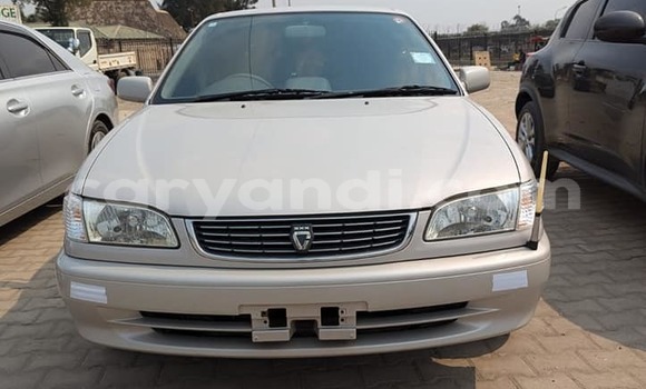 Acheter Occasion Voiture Toyota Corolla Blanc à Isoka, Nord Acheter Occasion Voiture Toyota Corolla Blanc à Isoka, Nord