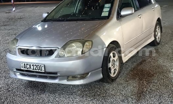 Acheter Occasion Voiture Toyota Runx Autre à Chinsali, Nord Acheter Occasion Voiture Toyota Runx Autre à Chinsali, Nord