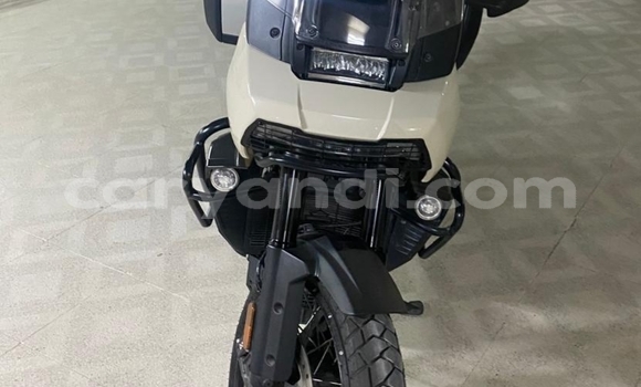 Buy Used Harley Davidson Dyna Other Bike in Lusaka in Zambia Buy Used Harley Davidson Dyna Other Bike in Lusaka in Zambia