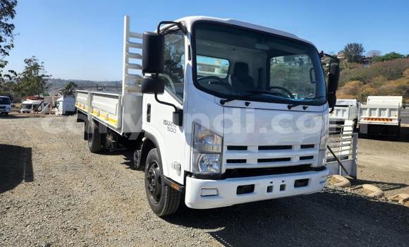 Tenga Tsaru Isuzu FTR 850 Chena Rori in Lusaka in Zambia Tenga Tsaru Isuzu FTR 850 Chena Rori in Lusaka in Zambia
