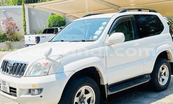 Buy Used Toyota Prado White Car in Import - Dubai in Zambia Buy Used Toyota Prado White Car in Import - Dubai in Zambia