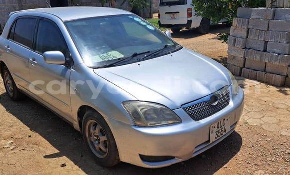 Acheter Occasion Voiture Toyota Runx Autre à Chingola, Zambie