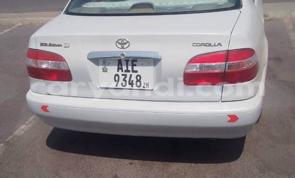 Buy Used Toyota Corolla White Car in Import - Dubai in Zambia Buy Used Toyota Corolla White Car in Import - Dubai in Zambia