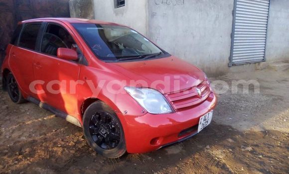 Buy Used Toyota IST Red Car in Chipata in Zambia Buy Used Toyota IST Red Car in Chipata in Zambia