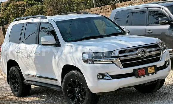 Acheter Occasion Voiture Toyota Land Cruiser Prado Blanc à Import - Dubai, Zambie