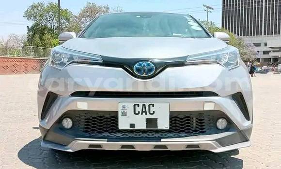Acheter Occasion Voiture Toyota C-HR Autre à Chipata, Zambie Acheter Occasion Voiture Toyota C-HR Autre à Chipata, Zambie