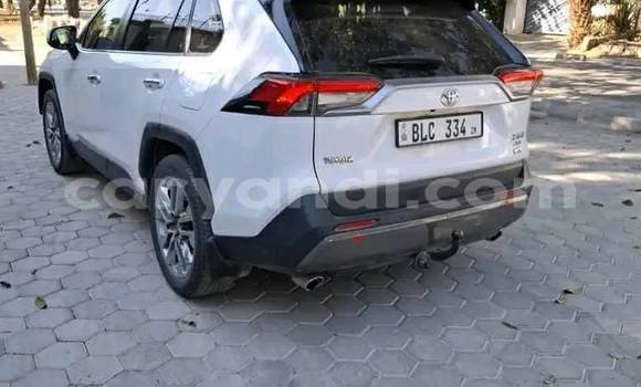 Acheter Occasion Voiture Toyota RAV4 Blanc à Chinsali, Nord