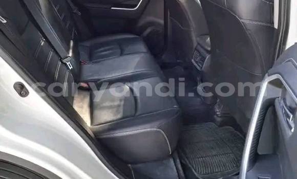 Acheter Occasion Voiture Toyota RAV4 Blanc à Chinsali, Nord Acheter Occasion Voiture Toyota RAV4 Blanc à Chinsali, Nord