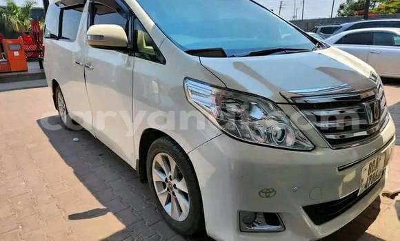 Acheter Occasion Voiture Toyota Alphard Blanc à Chipata, Zambie Acheter Occasion Voiture Toyota Alphard Blanc à Chipata, Zambie