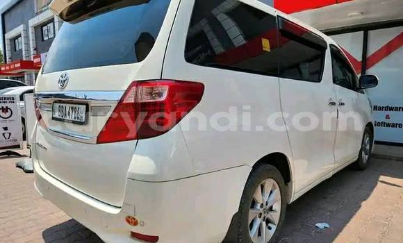 Acheter Occasion Voiture Toyota Alphard Blanc à Chipata, Zambie Acheter Occasion Voiture Toyota Alphard Blanc à Chipata, Zambie