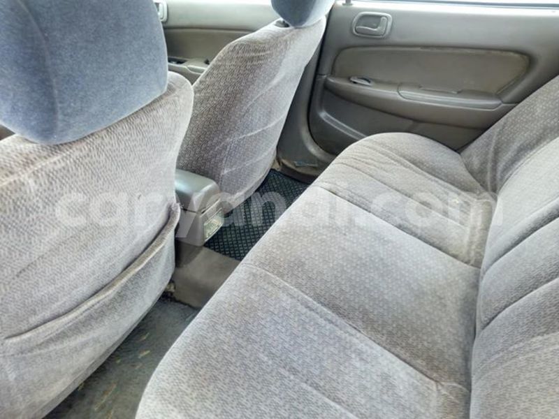 Big with watermark 54430302 1983567015089021 8027186918653427712 n