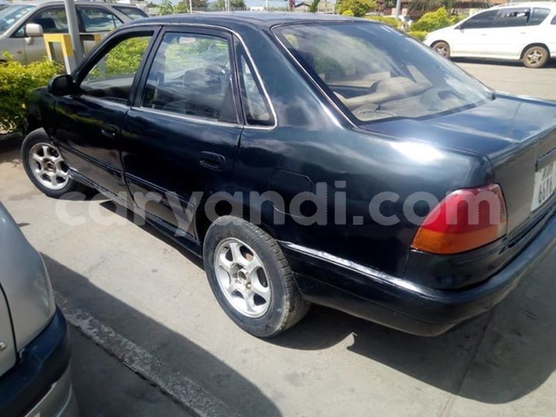 Big with watermark 54515375 1983566908422365 3599131316433453056 n